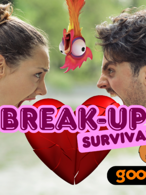 Break Up Survival Goofbag – Gag Gift, Funny Gift, break up gift