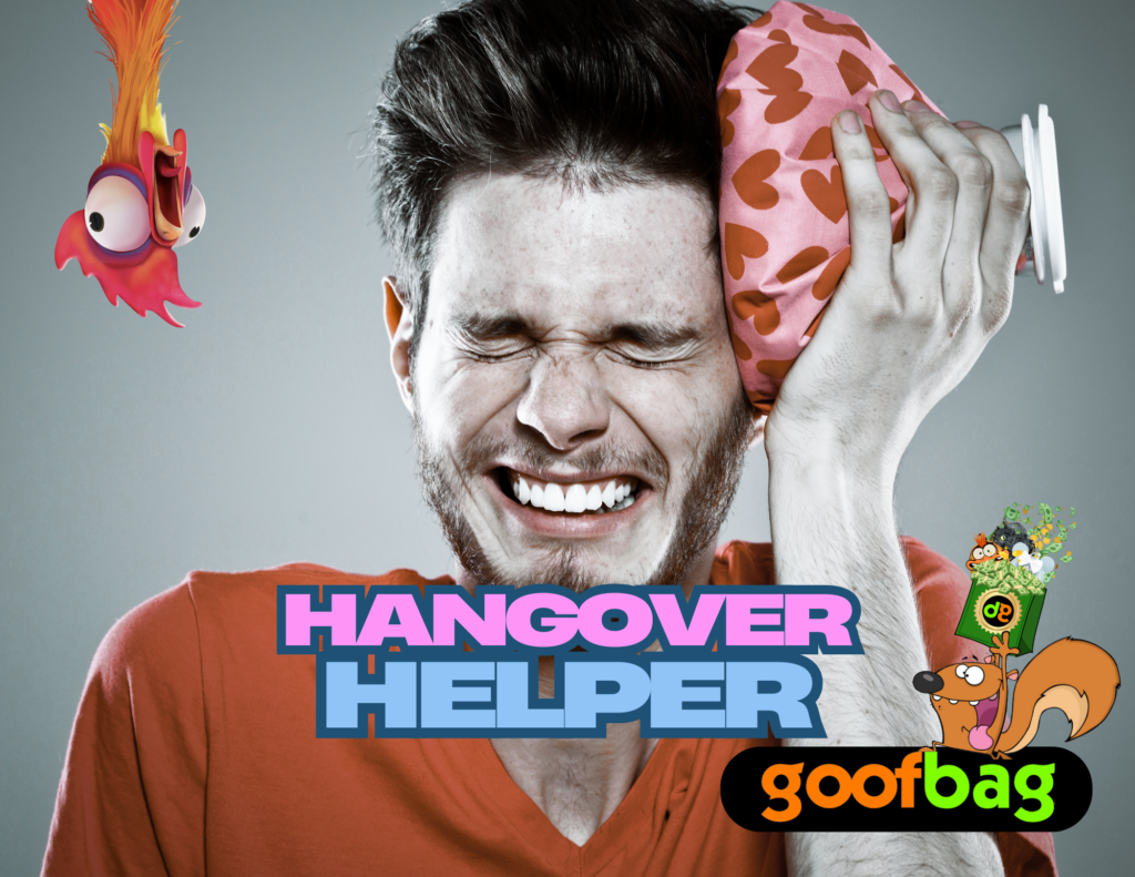 Hangover Helper Goofbag - Gag Gift, Funny Gift, Hangover Gift
