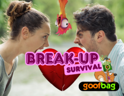 Break Up Survival Goofbag – Gag Gift, Funny Gift, break up gift